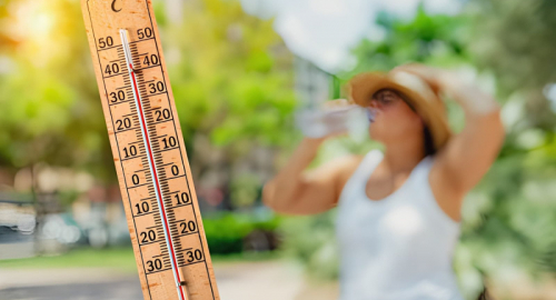 Caldo estremo, l�OMS Europa lancia nuove linee guida: citt� e sanit� chiamate a proteggere i cittadini dalle ondate di calore